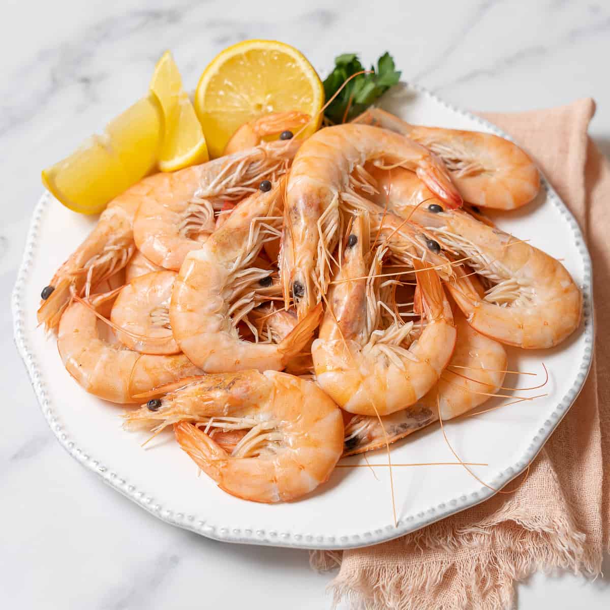 Shrimp2