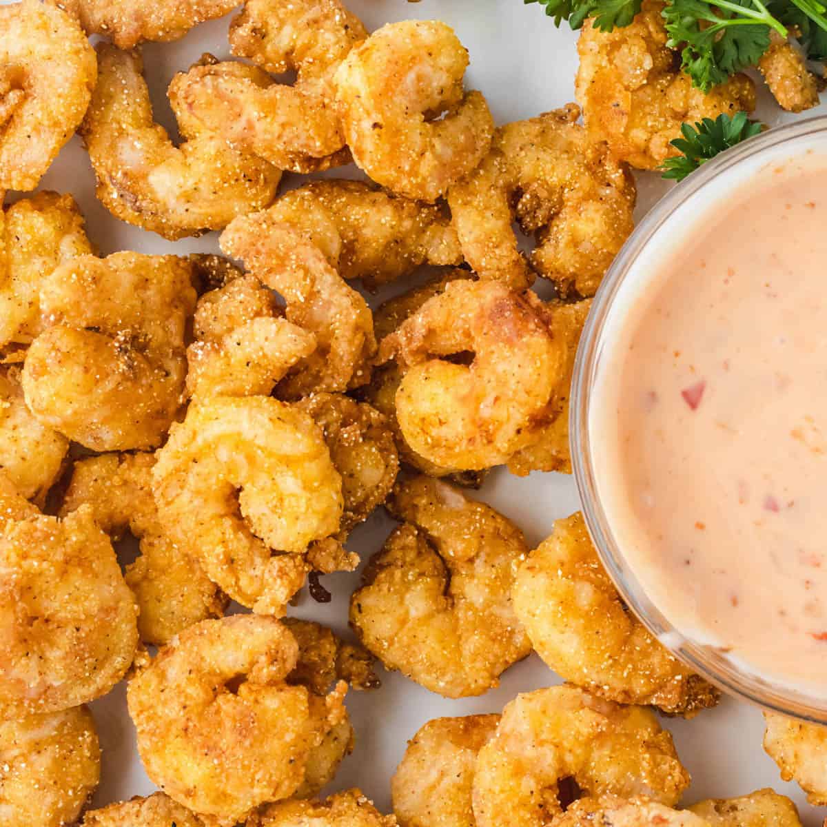 Shrimp